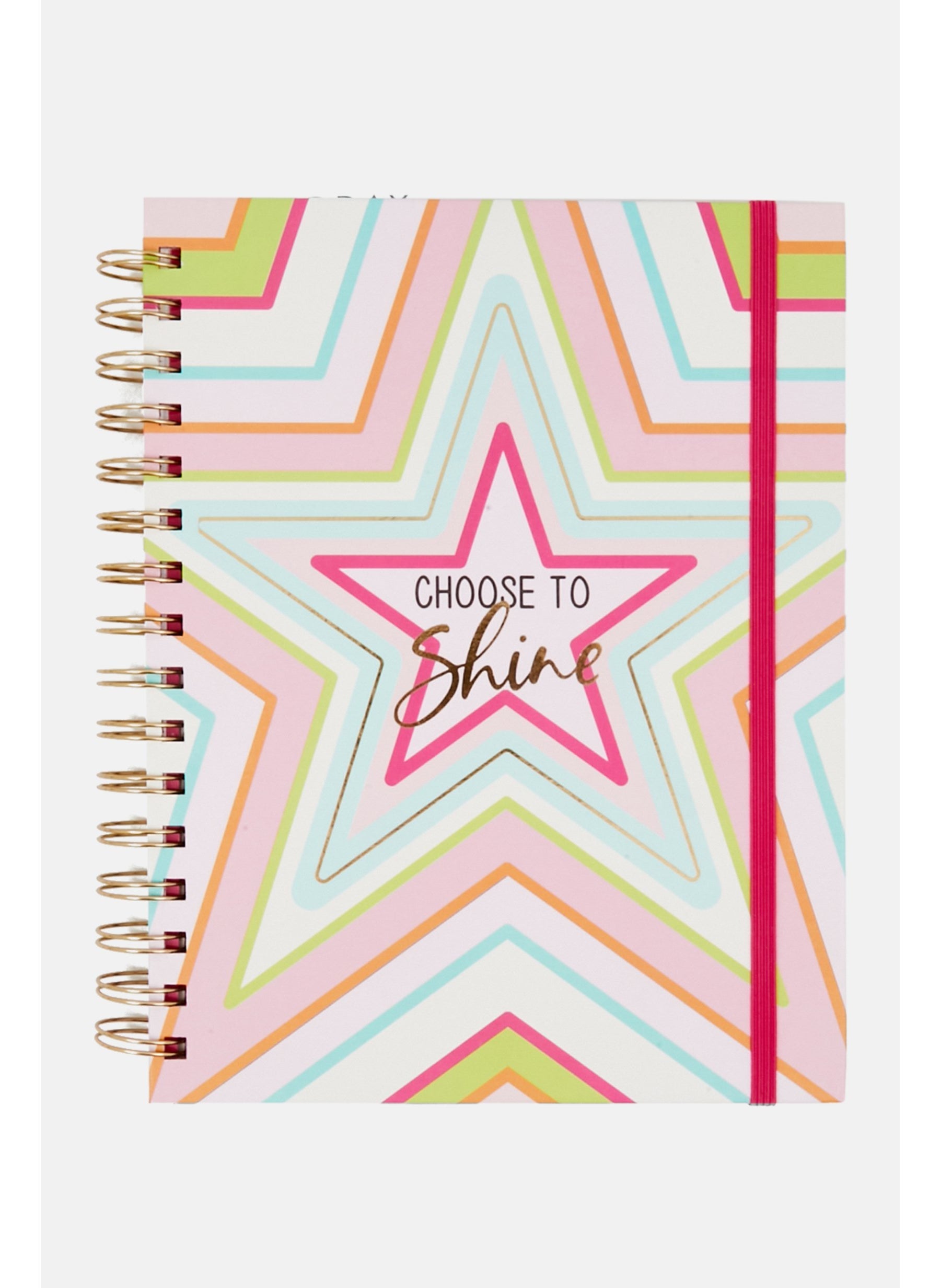 2024-2026 Book Planner, Pink